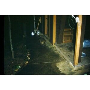 Original 1950s Red Border Kodachrome 35mm Slide - Late Night Visitor 3